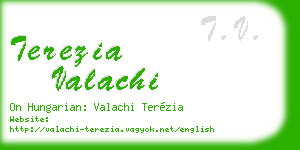 terezia valachi business card